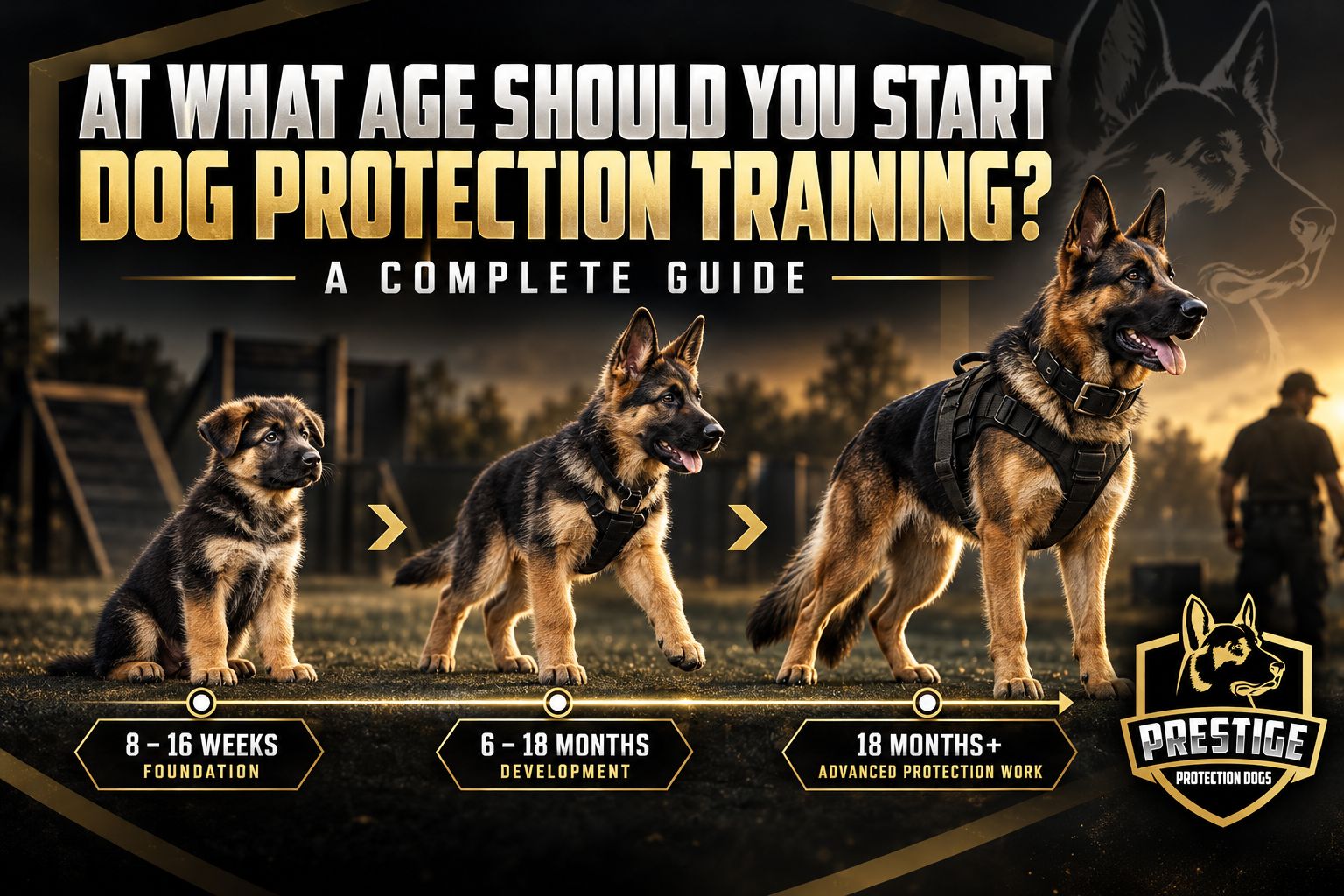 At What Age Should You Start Dog Protection Training At What Age Should You Start Dog Protection Training